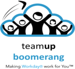 teamupboomerang.com Logo